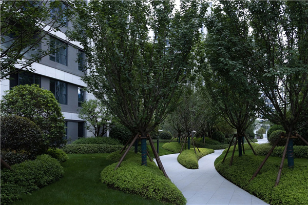 致瀾景觀丨成都國貿·鷺原