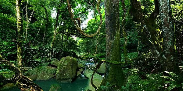 瀘古高速服務(wù)區(qū)及周邊地塊城市設(shè)計競賽，邀您參加