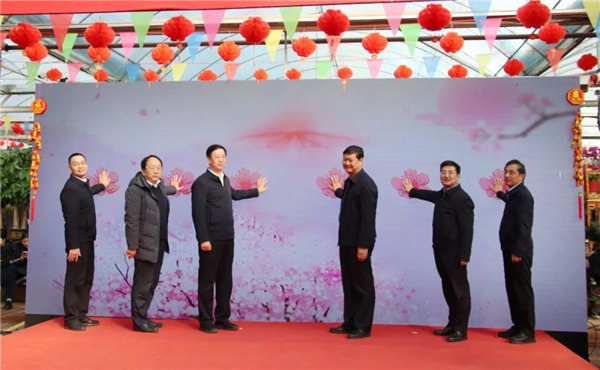 花漾齊魯喜迎新春 濟南園林花市暨2025年宵花節盛大開幕