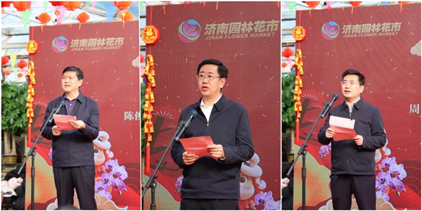 花漾齊魯喜迎新春 濟南園林花市暨2025年宵花節盛大開幕