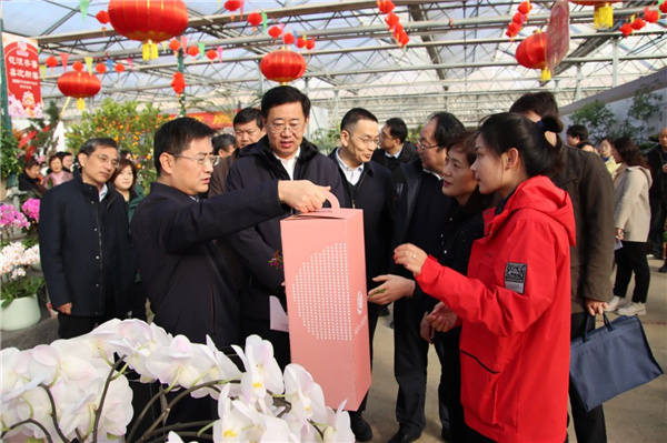 花漾齊魯喜迎新春 濟南園林花市暨2025年宵花節盛大開幕