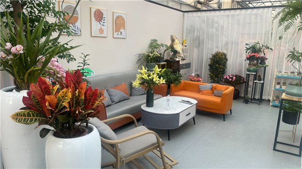 花漾齊魯喜迎新春 濟南園林花市暨2025年宵花節盛大開幕