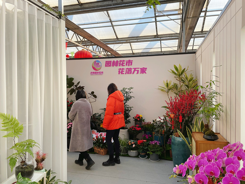 喜迎新春 濟南園林花市暨2025年宵花節盛大開幕