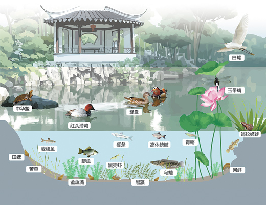 蘇州園林,何以展現(xiàn)生態(tài)意境?