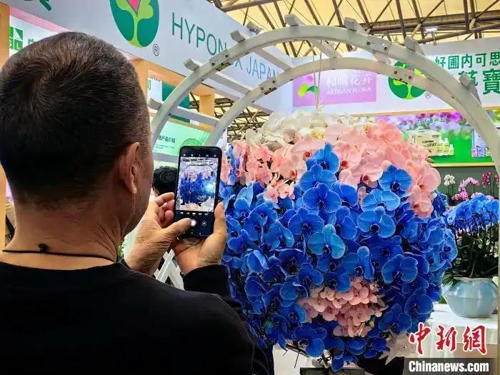 中國(guó)國(guó)際花卉園藝展覽會(huì)在上海舉行