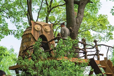 “探秘”上海花園節(jié)