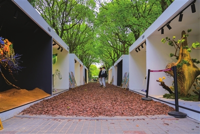 “探秘”上海花園節(jié)