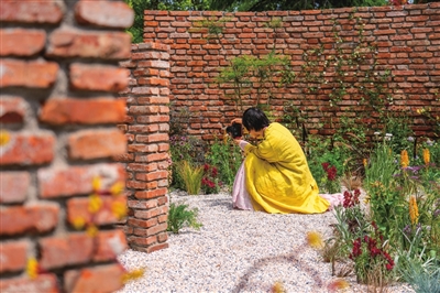 “探秘”上海花園節(jié)