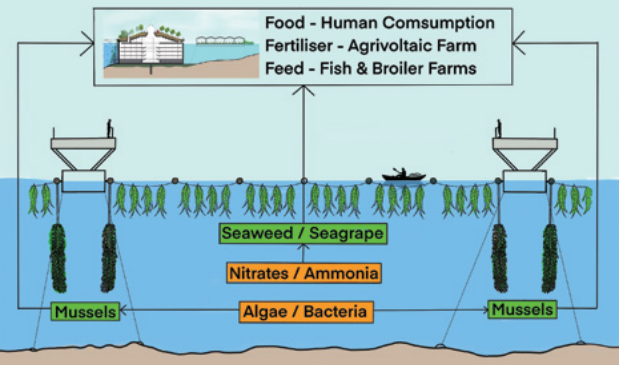 應對海平面上升的循環經濟戰略