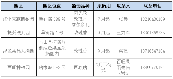海淀葡萄：時光里的酸甜味道
