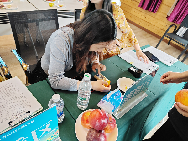 碩果飄香·豐涵海淀 | 北京舉辦鮮桃擂臺賽系列活動