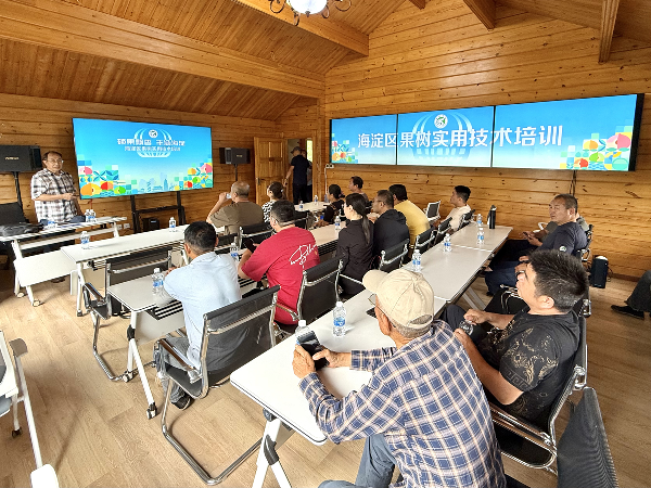 碩果飄香·豐涵海淀 | 北京舉辦鮮桃擂臺賽系列活動