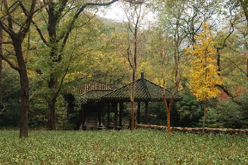 靈隱景區－亭廊