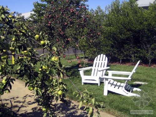 卡內(nèi)羅鄉(xiāng)村旅館