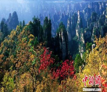 張家界國家森林公園30年實現旅游總收入347億