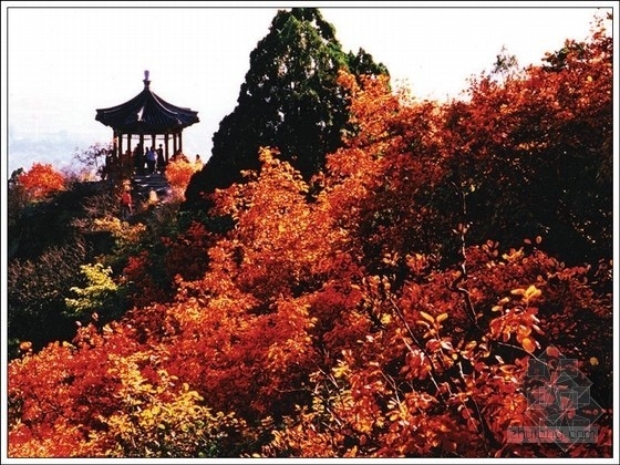 金秋中國十大賞紅葉的好去處