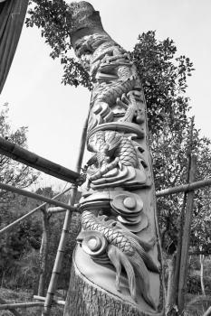 活樹雕刻是殘忍還是藝術?