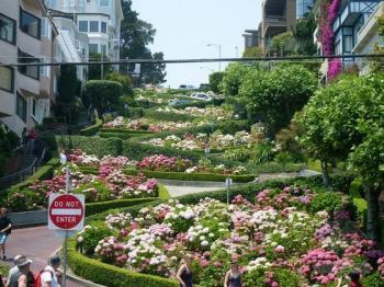 論壇：美國加利福尼亞州九曲花廊