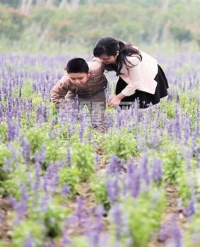 精彩圖集_游記攻略_風(fēng)景旅游