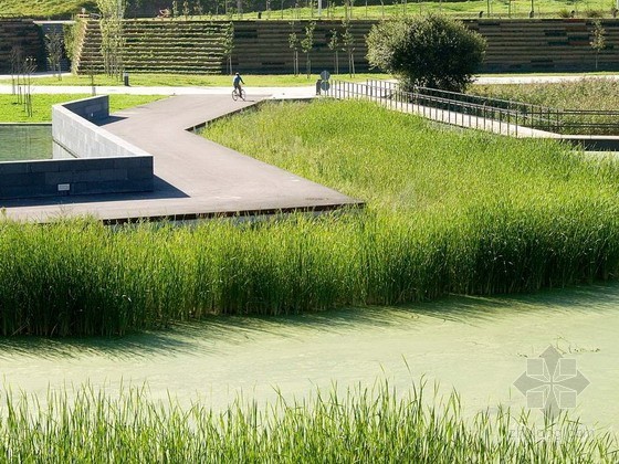 西班牙桑坦德濕地公園