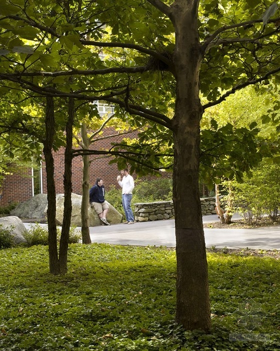 基恩州立科學中心庭院設計 單位綠化|規(guī)劃設計 中國風景園林網(wǎng)