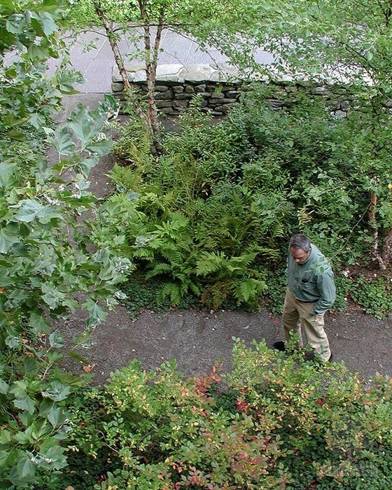 基恩州立科學(xué)中心庭院設(shè)計(jì) 單位綠化|規(guī)劃設(shè)計(jì) 中國風(fēng)景園林網(wǎng)