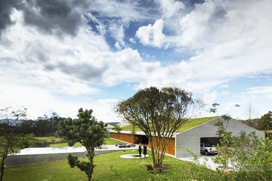 Studio MK27設計的MM住宅綠色屋頂