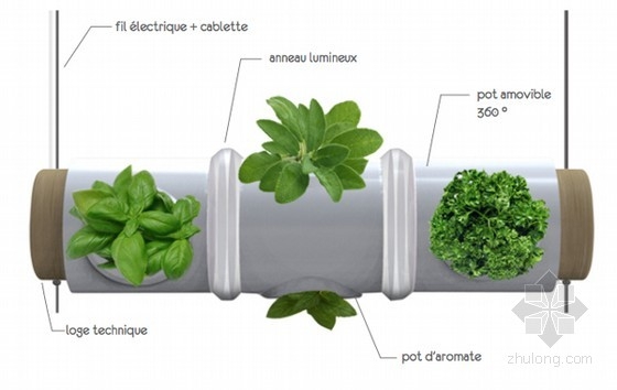 ThibautDelefortrie等設(shè)計(jì)的燈管上的香草花園