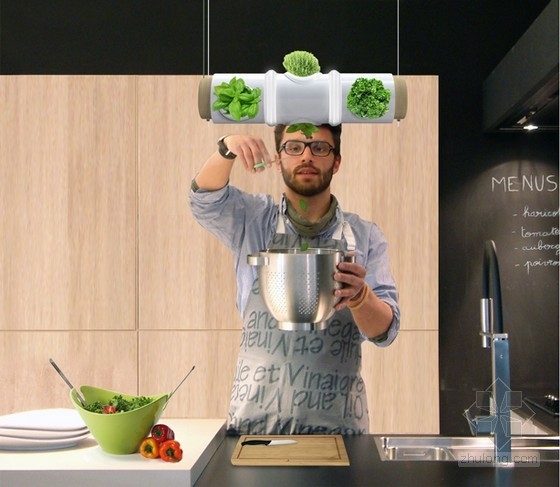 ThibautDelefortrie等設(shè)計(jì)的燈管上的香草花園