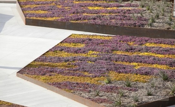 CMG設(shè)計(jì)的美國(guó)加州圣佩德羅太平洋濱海規(guī)劃