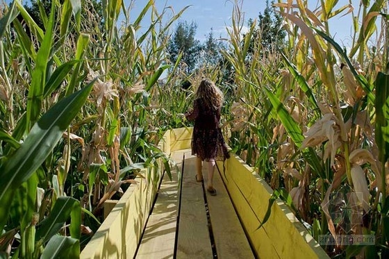 智利圣地亞哥鄉(xiāng)村小徑花園