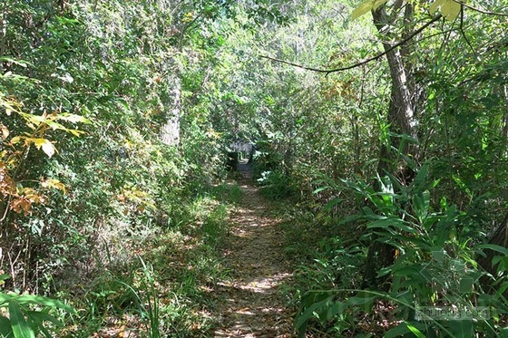 布宜諾斯艾利斯的“回響村”