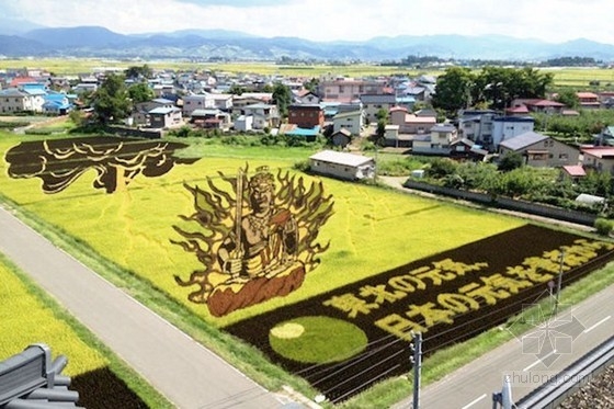 日本田舍館村村民設(shè)計的巨型稻田插畫藝術(shù)