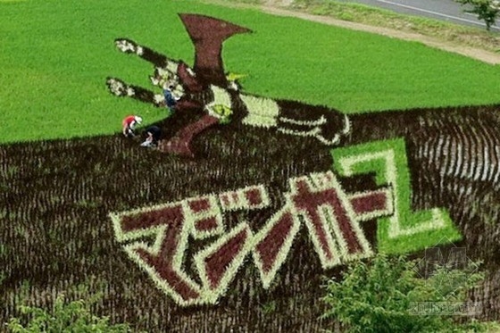 日本田舍館村村民設(shè)計的巨型稻田插畫藝術(shù)