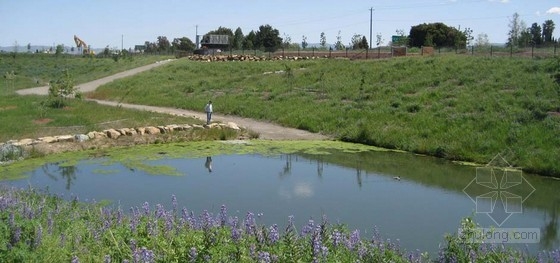 CMG設計的都柏林農場水池