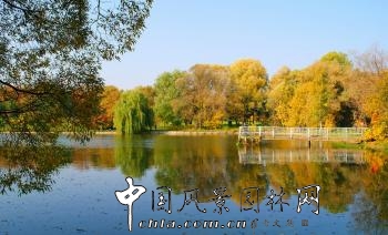俄羅斯園林之圣彼得堡植物園(組圖)