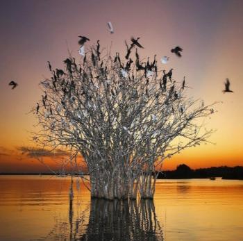 風(fēng)景名勝_游記攻略_風(fēng)景旅游