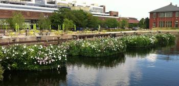 2014ASLA專業(yè)獎(8):費城Urban Outfitters總部園區(qū)