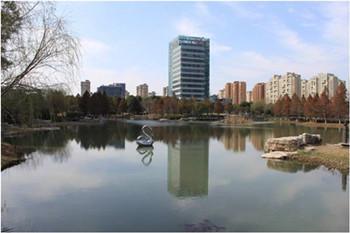 精品園林獎金獎：中新生態大廈景觀綠化工程