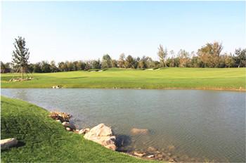 精品園林獎(jiǎng)金獎(jiǎng)：天津市楊柳青27人高爾夫球場(chǎng)景觀工程