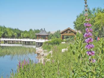 內(nèi)蒙烏海:海南區(qū)推進(jìn)國家園林城市創(chuàng)建綜述