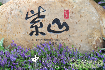 2015園冶杯住宅景觀獎大獎項目：保利紫山城心?山居墅