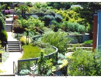 杰弗里·米勒:“順勢而建”的住區花園