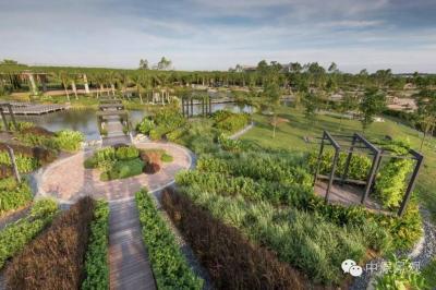 馬來西亞加里斯建筑師的弧形景觀設計