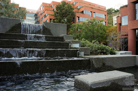 美國舊金山Levi公園實(shí)景圖