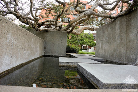 美國舊金山Levi公園實(shí)景圖