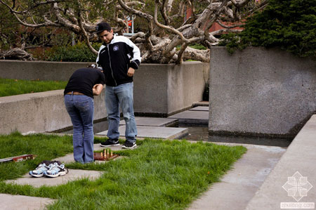 美國舊金山Levi公園實(shí)景圖