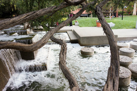 美國舊金山Levi公園實(shí)景圖
