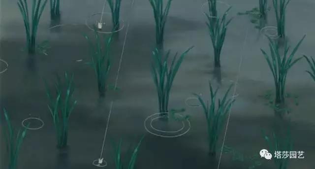 10.jpg 治愈系:《龍貓》中的植物世界(一)