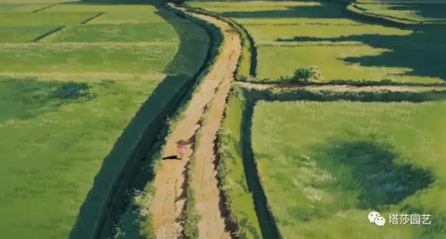 13.jpg 治愈系:《龍貓》中的植物世界(二)